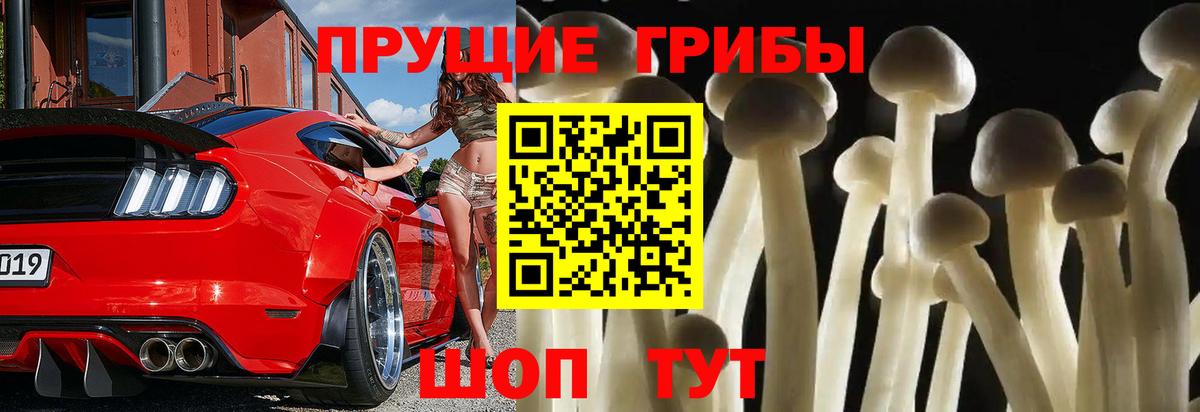 Строитель  Псилоцибиновые грибы Psilocybine cubensis  Вход с VPN 